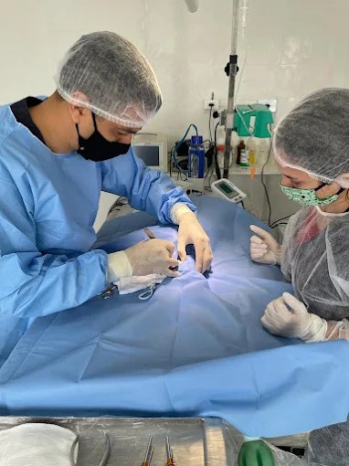 Centro cirúrgico veterinário na Sociedade Animal Taubaté